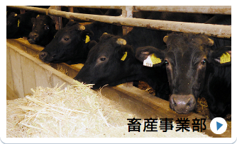 あなたも参加しませんか？