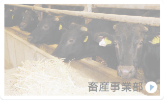 あなたも参加しませんか？